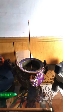 好好好好好好好好好好