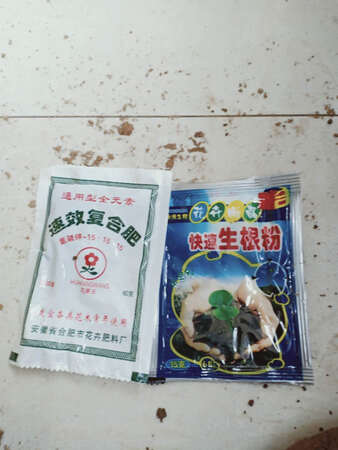 都说京东上的东西好，没假货，我试着第一次从京东上购了一株橙色三角梅花，光枝枝没有一片叶子，但是枝枝有水份，用老板送的生根粉泡了半天己栽花盆中，期待能发牙，等花花发牙开花后再追评，习惯好评。
