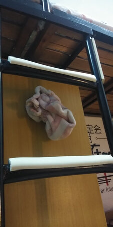 价格高了，#会更便宜。