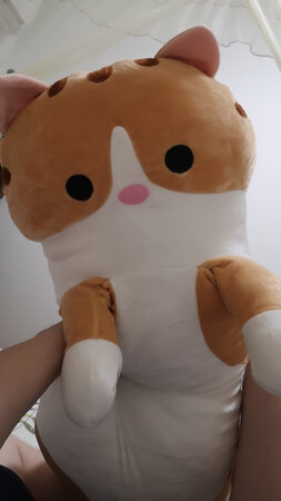 物流快。小孩挺喜欢。。
