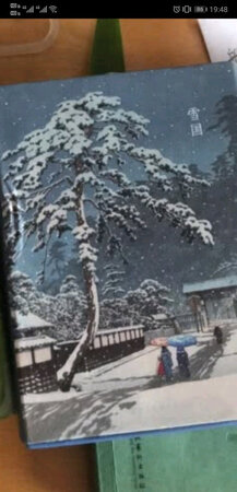 还可以，挺好看的，下次再买，京东购物一如既往的好