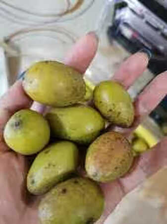 这么硬怎么吃？？发这样的货商家真是好意思呀