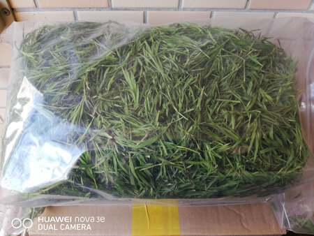 宝贝收到！一直不能喝茶叶水，偶尔一次到餐馆吃饭，店家给泡了青竹叶茶，一股竹叶淡淡的清香沁人心脾，好喝。回家在网上搜了一下，果然有青竹叶茶，赶紧下单。
选这家是这商家很实在，超值简装把实惠留给客户，而且东西也好，开袋就有一股竹叶清香，泡着茶水也有淡淡的清香味。一大包，分给朋友们尝尝都喜欢。