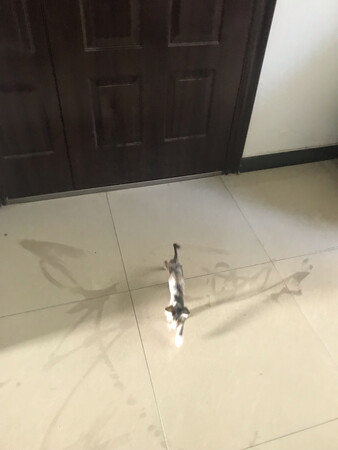 很小的东西，很实用，挺不错的，用户满意最好