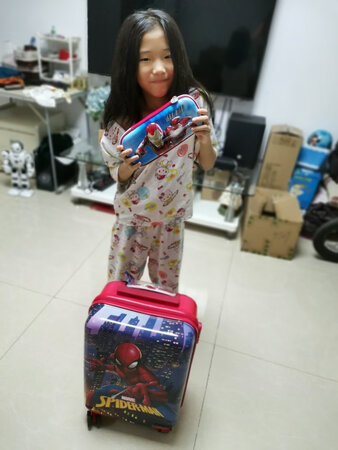 这个团案是孩子自己选的，小孩很喜欢钢铁侠，本来家里很多铅笔盒完全够用了，但小孩很喜欢这个钢铁侠图案的铅笔盒，那我也只好再买一个了！钢铁侠图案是3D立体的，看起来很逼真，铅笔盒质量做工很精细，摸起来很有质感，小孩也玩的很高兴！虽然价格不便宜但确实物有所值！