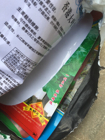 比想象中还少很多，估计只能种一小盆