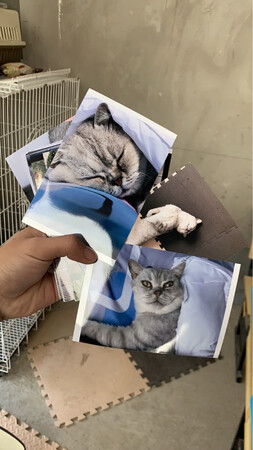 可以