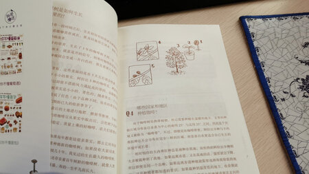 你不懂系列，用问答的形式解答知识，看完会学到很多，图文形式，看起来很轻松