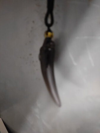 挺精致的，客服也比较热情大方，比较满意的一次购物。