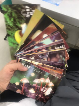 很漂亮，很喜欢！物流又快，赞一个
