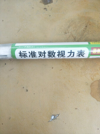 很好，没有异味。可以放在客厅给宝贝们平时看一看。玩一玩。