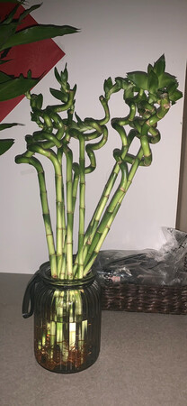 有的太细了，跟筷子一样细