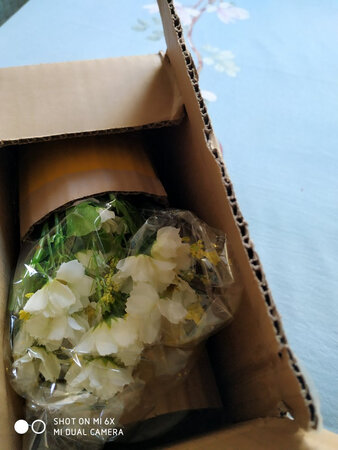 美观程度：很漂亮
大小尺寸：合适
工艺品质：非常逼真
当深秋，百花凋零，唯有菊花傲然开放。
       菊花是隐士的象征，代表着人们对幽静安逸生活的向往。菊花是高洁品质的象征，当菊花凋谢时，花瓣不会像其它花朵一样一瓣一瓣的掉落下来，而是持久的团聚在一起，体现了菊花成员团结的精神。
       菊花也是伤感的象征，一到清明或中元节，人们就用白菊或黄菊去上坟扫墓，代表我们对已故亲人的思念！
        它的花语有很多：高洁，长寿，思念，优美，感动，多用于表达感激之情！
         永远追思我亲爱的老妈妈???
         祝愿她老人家在天堂一切安好???