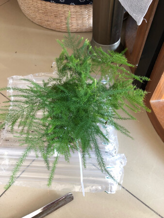 质量挺好，很满意。