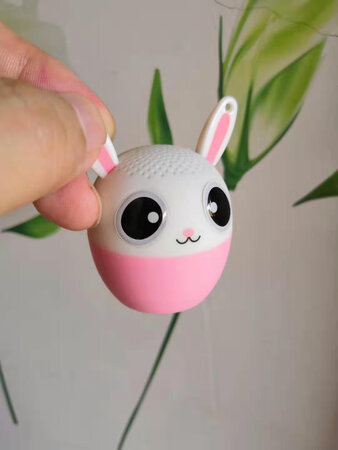 小小个的声音还蛮好的，过两天再买一个配对试下！