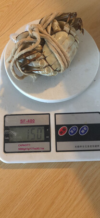 买的是公的五两一只，结果收到加绳子才四两。母的买的是3.5两一只。买到加绳子才三两。缺斤少两直接掉一个档次！差评！！钱多花了品质没享受到
