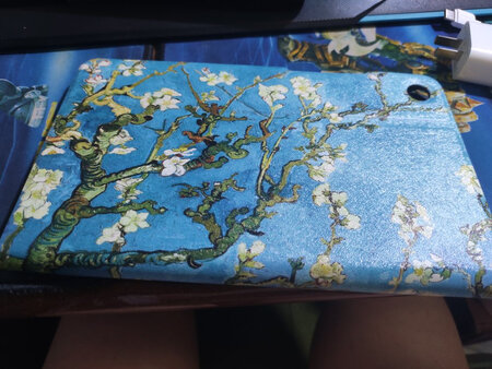 花式非常的肃静淡雅，智能开关的系统也非常的灵敏，很是喜欢
