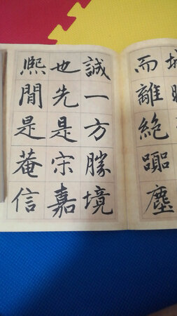 5厘米大字本，很好！快递哥真给力，这么晚送来了，非常感谢！