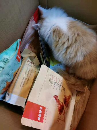 猫猫和孩子都喜欢。