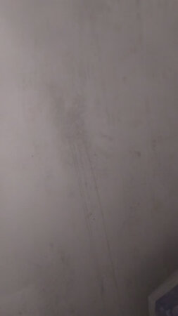 挺不错的，有两种喷口，效果也很好，很快墙就白了，希望防霉效果也很好