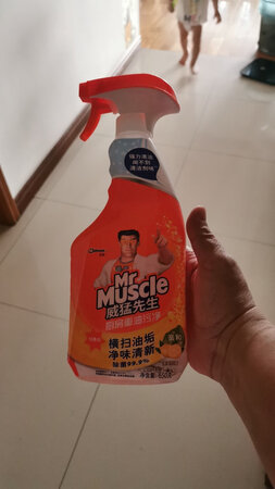 三个提换装，一个正装，还送了一小瓶洗涤剂