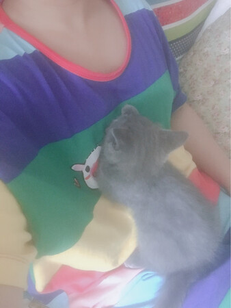 这个衣服也太大了吧，夏天穿有点厚，但是颜色很漂亮。