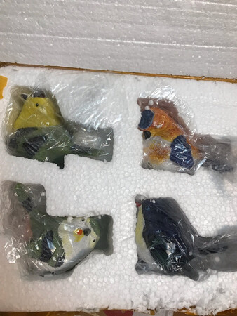好逼真的小小鸟儿?！喜欢的你也可以大胆的购买