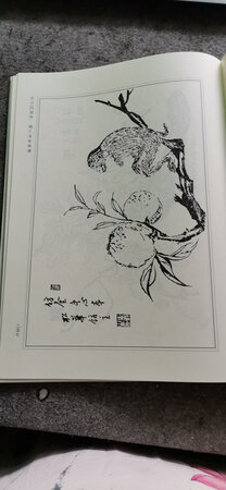 挺不错的，印刷还很清晰，已经连续买了三本，值得推荐。