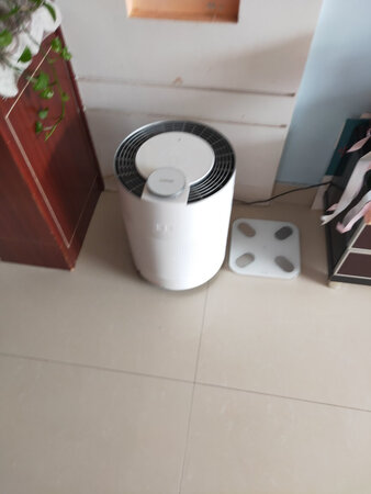 科沃斯净化器净化效果很好，客服服务很到位。
净化效果：很好
外形设计：美观大方很可爱
噪音大小：净化时声音很小
操作难易：操作很简单。
