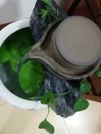 质量挺好，很满意。