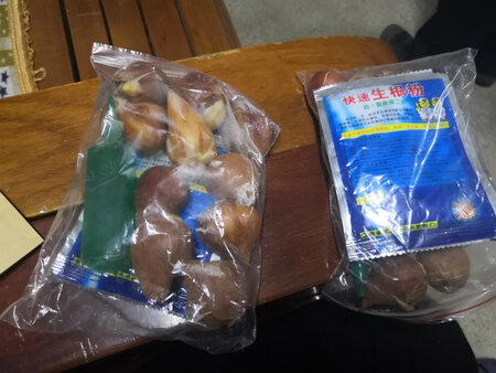 质量挺好，很满意。