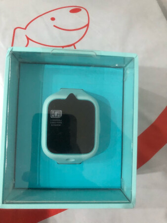 主要功能：打电话，养宠物，上闹钟，拍照片等等。
续航能力：一直玩的话一下午就没电了，如果不玩不知道能待机多久。
舒适程度：表带戴着还比较舒服，操作比较简单。
精准程度：表的准确度还可以，其他的没有试。
其他特色：打电话挺清楚的，基本没有回音。
操作难易：操作比较简单，功能也比较简单，孩子自己玩没压力。
外形外观：没有花里胡哨的外表，挺好。