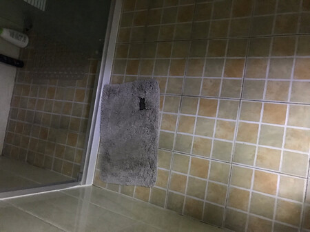 适用场景：厨房
清洁难易：简单
大小尺寸：适中
其他特色：无