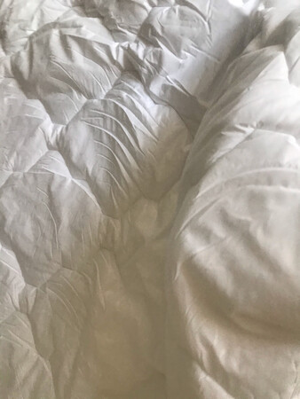 刚收到的被子 ，软硬适中 ，适合 适合四季 。不是那种蓬松的