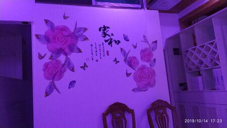非常好看，因为自己水平有限，贴的不是那么标准！