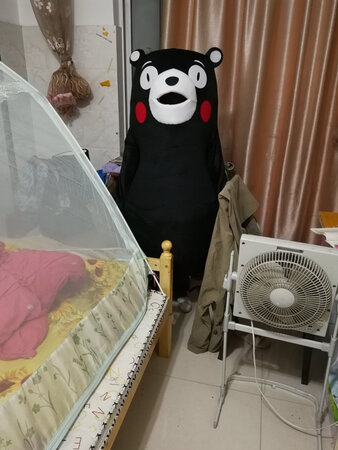 挺好