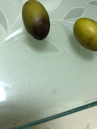 不新鲜，还有一些是坏的