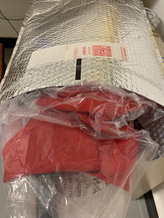 衣服的款式特别好看。意大利品牌，很有设计感，既时尚又不失优雅，特别好看。红色也是特别洋气的红，正红色。面料是那种不容易起褶皱的料子。不怕折了以后变形。包裹包装的特别好。里面还有一个小衣架，很方便挂。总的来说就是个性不失优雅。