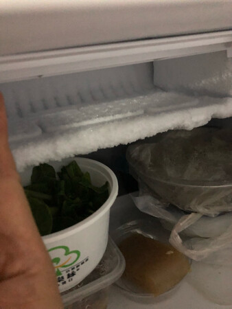 雪柜大小刚刚好，价钱也很漂亮，适合一个人使用，微冻室也能结霜，应该可以放雪糕