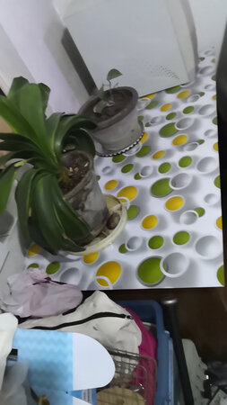 花盆下垫着桌子大小完美，没这桌布，浇花不仅把桌子沤烂了，连里面的书都进水了