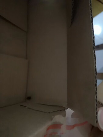 东西还可以，就是快递盒子里有只小强有点吓到了，跑的贼快，拍的不咋清楚……