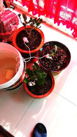 质量挺好，很满意。
