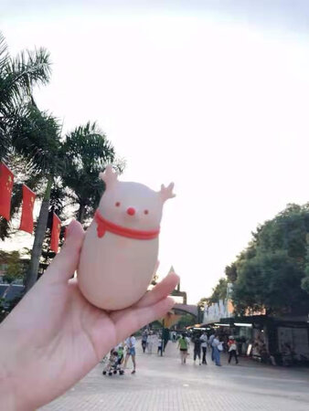 物流很快，包装完好，店家态度很好，小巧玲珑，很好用！