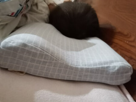 睡眠博士的枕头买了得有五六个了，儿童的成人的，乳胶的、记忆棉的，都很不错。记忆枕觉得用起来更舒适，无味儿，但是夏天孩子睡会闷热，头部容易出汗，不易散热，乳胶的也有此类问题。正好发现出了这款可水洗透气记忆枕，赶紧买来尝试下，活动价格也很给力，喜欢的优点是可水洗，透气，目前还没有水洗，不知道水洗后会不会变形，破碎。还没有到夏天，所以透气性也很难体会，不过枕头真的很柔软，躺在上面很舒服，有柔软的包裹感，孩子很喜欢，成人如果喜欢低矮枕头的也可以用。后面会继续追评。