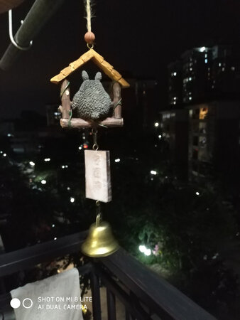 看还是挺好看的，就是风吹不响，感觉要吹台风才会响。
