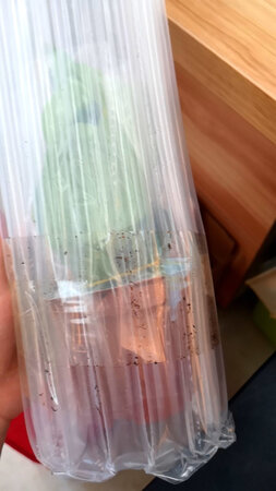 还没有拆包装，颜色还不错，放在房间刚合适