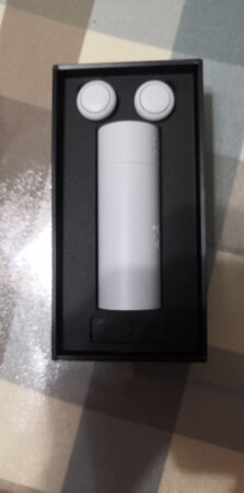 一直想买一个可以实时翻译的产品，网上说这个是翻，翻译时好像要译大师就买了。说说我的感受把，首先，放入充电盒时貌似要把橡胶套取下来，这点很不喜欢；其次，翻译时说一次就要在APP上点一下，太不方便了。