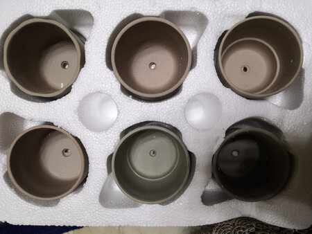 ：花盆比想像的小，正好栽刚买的菖蒲苗。