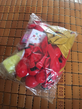 商家发货很快，质量不错，还没用！