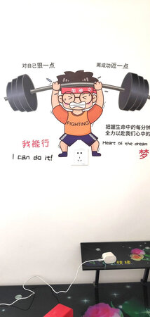 孩子的房刚收拾好，随便贴点什么，挺不错的！！